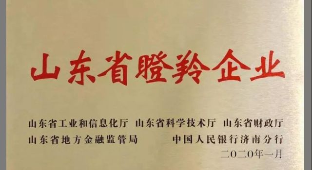 藍想環境被認定為山東省第三批瞪羚企業